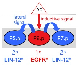 VPC Specification